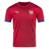 Ivanovic #2 Nogometni Dresovi Srbija UEFA Euro 2024 Domaći Dres Muški